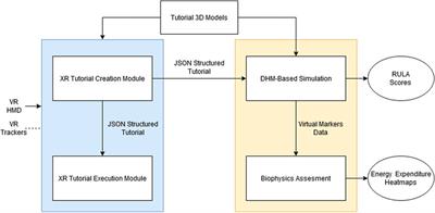 XRSISE: An XR Training System for Interactive Simulation and Ergonomics Assessment